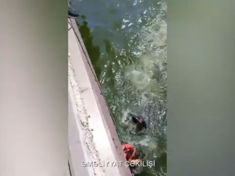 Bulvarda dənizdə batan qadın xilas edildi - VİDEO