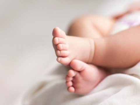 Ermənistanda doğum və nikah azalıb, boşanma artıb