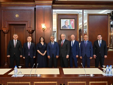 Milli Məclisin komitəsində almanlarla görüş keçirilib