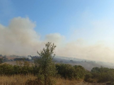 Lənkəranın dağ kəndində yanğın 