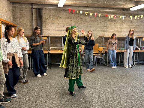 Azərbaycan rəqsləri&nbsp;isveçrəlilərə təqdim edildi - FOTOLAR