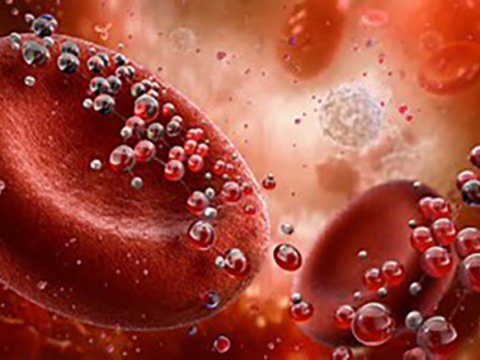 Beyinin qocalmasını dayandıracaq maddə aşkarlandı