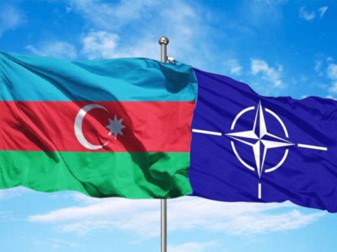 NATO-Azərbaycan əməkdaşlığının gücləndirilməsi müzakirə olundu