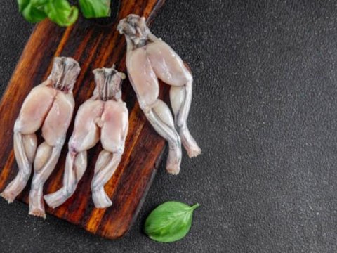 Azərbaycandan xaricə qurbağa ayağı satır - SƏBƏB