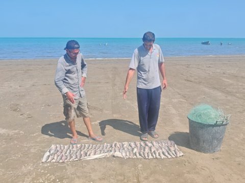 Novxanıda balıq ovlayanlar cəzalandırıldı&nbsp;- FOTOLAR