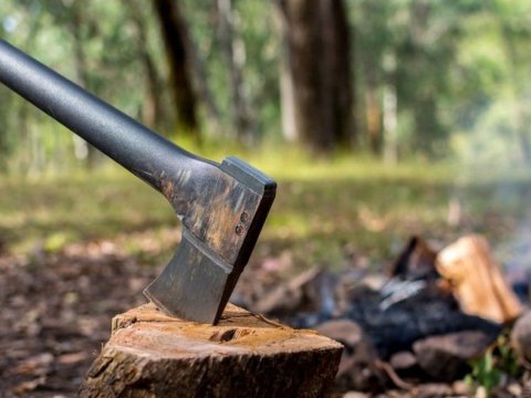 Ağac kəsənlər tutuldu