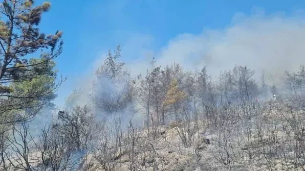 Bodrumda meşə yanır