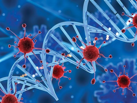 Alimlər yeni təhlükəli virus aşkarladılar