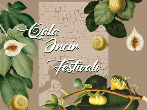 Qeyri-adi tədbir: Qala Əncir festivalı