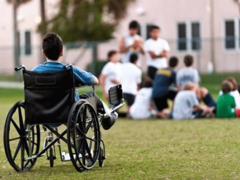 8 ayda 36,2 min nəfərə əlillik təyin olunub