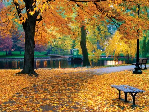 Payız Azərbaycana bu tarixdə daxil olacaq