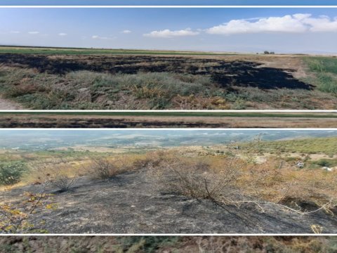 Füzuli və Xocavənddə yanğın törədənlər cərimələndi