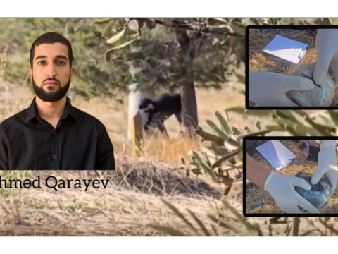 İran vətəndaşına narkokuryerlik edən şəxs saxlanıldı