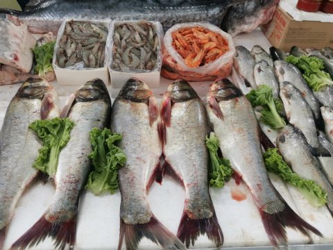 Bakıda balıq yarmarkası fəaliyyətə başladı - FOTO