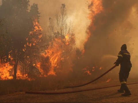 Qızılağac Milli Parkındakı yanğın tam söndürüldü - YENİLƏNİB