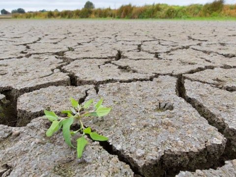 Quraqlıq bahalaşmaya SƏBƏB OLUR