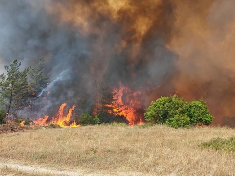 Xocavənddə yanğın