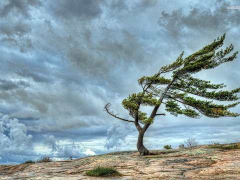 Bakı və bölgələrdə güclü külək əsəcək - XƏBƏRDARLIQ