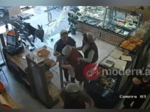 Gəncədə inək mağazaya hücum etdi: yaralı var - ANBAAAN GÖRÜNTÜLƏR