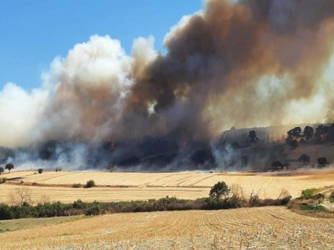 Türkiyədə meşə yanır