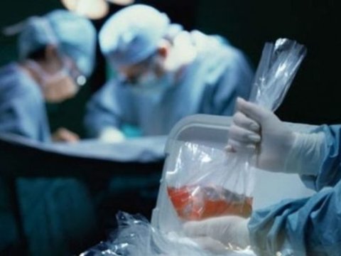 Reanimasiyada olan bütün xəstələr donor mənbəyimizdir - Mərkəz sədri