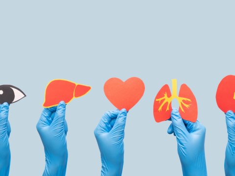 5 il ərzində “Türk transplant” platforması yaradılacaq