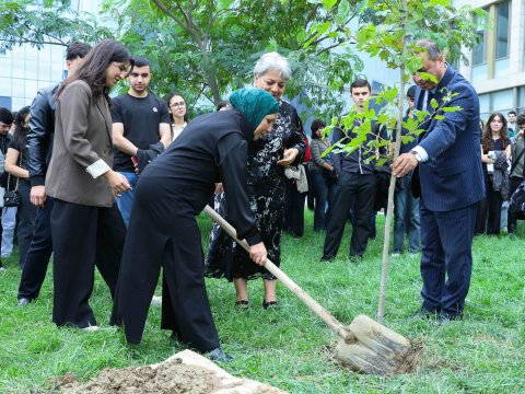 UNEC-də kök salan şəhidlər: Onların xatirəsi Xan çinarla əbədiləşdirildi