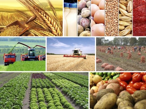 Kənd təsərrüfatında gerilmənin səbəbləri və çıxış yolları - TƏKLİF