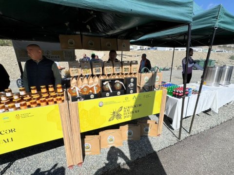 Kəlbəcərdə bal festivalı - VİDEO