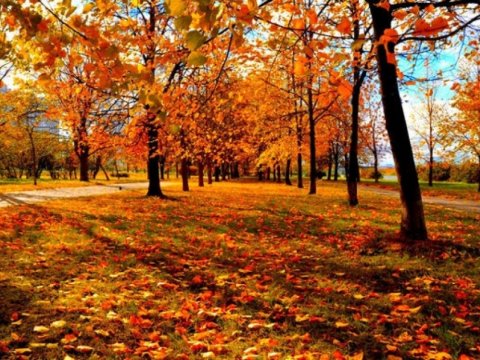 Temperatur 28 dərəcəyədək yüksələcək - Sabahın havası