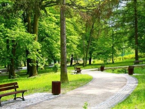 Kəlbəcər, Laçın, Ağdərə və Xocalı yeni milli parkın ilkin&nbsp;xəritəsi hazırlandı