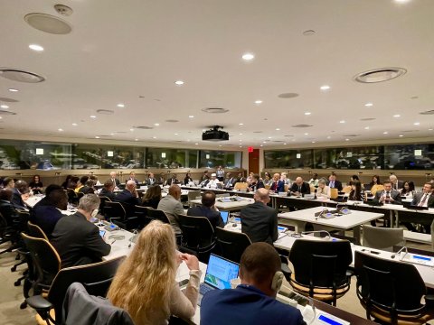 Azərbaycan Afrika ölkələrinə dəstək göstərəcək