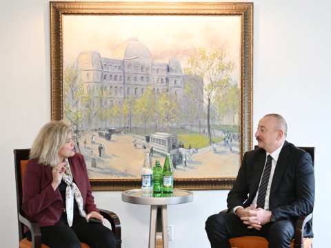 Nyu-Yorkda mühüm görüş 