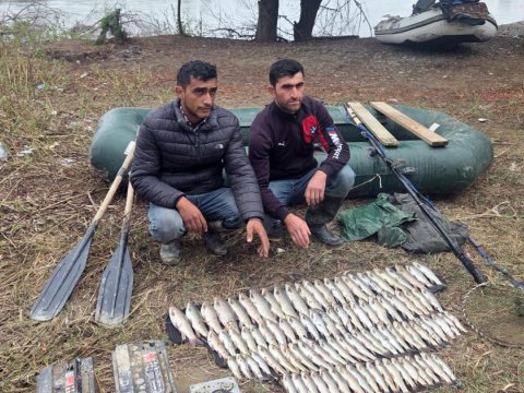 Mingəçevir su anbarında və Kür çayında qanunsuz balıq ovu aşkarlandı