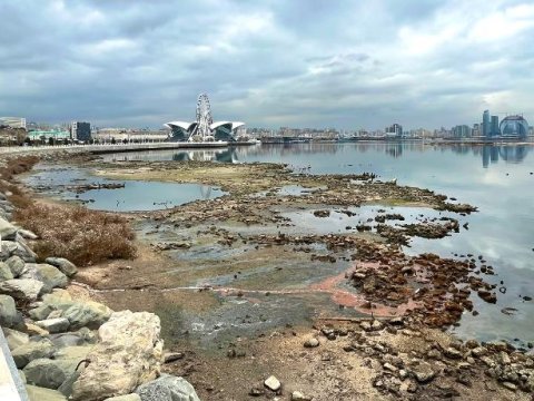 Xəzər dənizi sürətlə azalır - Prezidentdən dünyaya XƏBƏRDARLIQ