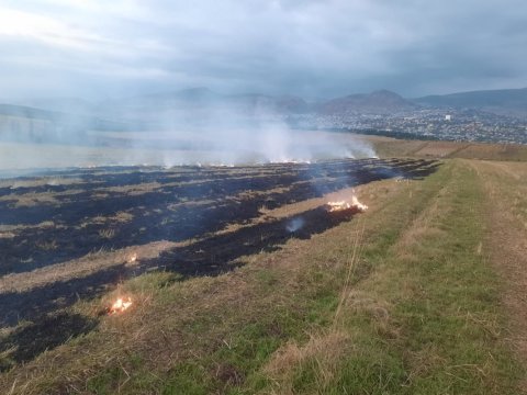 Şamaxıda yanğın törədən şəxs tutuldu