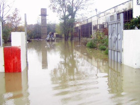 Lənkəranda həyətləri sel basdı - FOTOLAR
