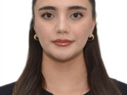 Reinteqrasiya, inkişaf və dövlətçilik konsepsiyası