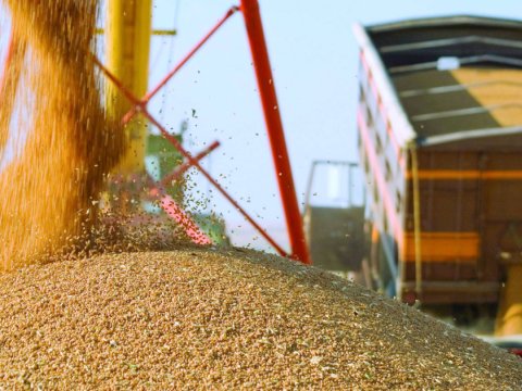 Azərbaycana taxıl tədarükünü ARTIRIB