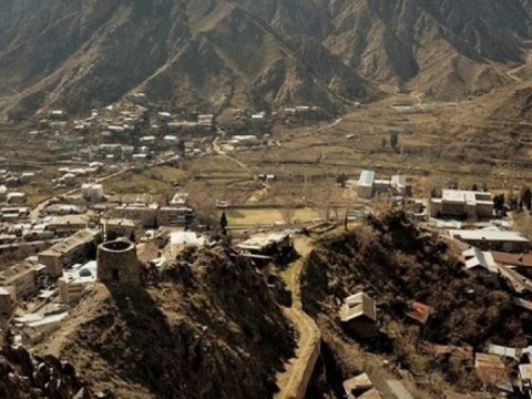 &ldquo;Bir Elin Manifesti&rdquo; - Zərli buta