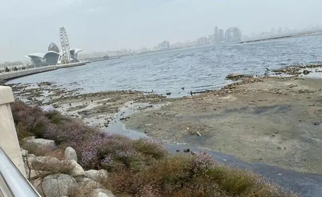 Xəzər dənizində suyun səviyyəsi daha da azalacaq - Muxtar Babayev