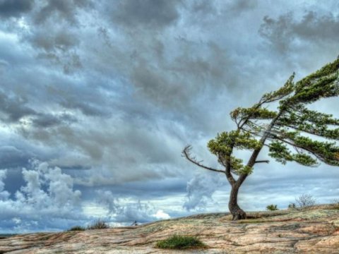 Nazirlikdən gözlənilən hava şəraiti ilə bağlı XƏBƏRDARLIQ