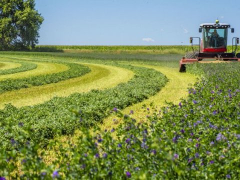 Kənd təsərrüfatı təyinatlı torpaqlarda tikintiyə bu hallarda icazə veriləcək