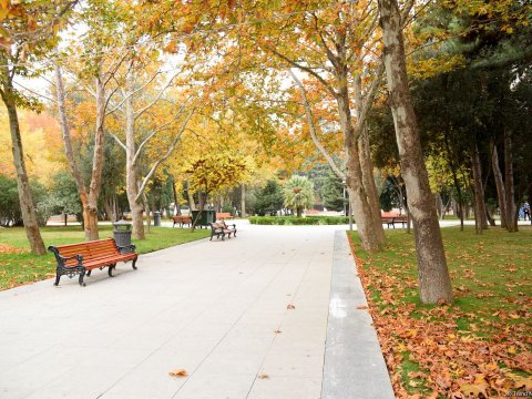 Sentyabrda aylıq temperatur iqlim normasından aşağı olub