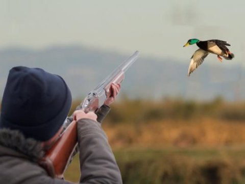 Qanunsuz ov edənlər saxlanıldı