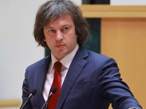 Aksiyaya əcnəbilər və diplomatlar dəstək verib - Kobaxidze