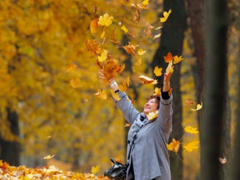 Sabah 29 dərəcə isti olacaq