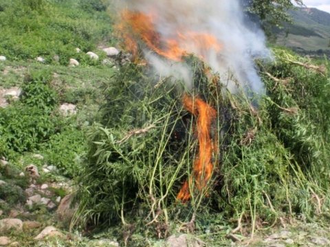Müsadirə olunmuş narkotik vasitələr məhv edildi