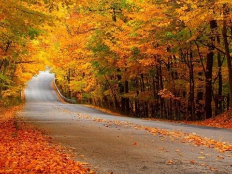 Bu gün hava necə olacaq? - Proqnoz