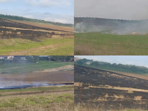 Əkin sahələrini yandıran 3 nəfər məsuliyyətə cəlb olundu